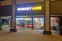 Hungry-Lion-6