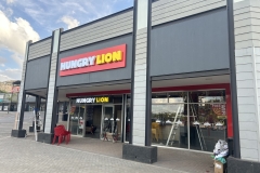 Hungry-Lion-7