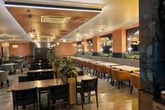 Mmabatho-Palms-Hotel-11